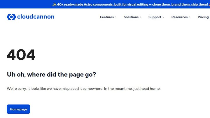 CloudCannon 404 page — heading '404', subhead 'Uh oh, where did the page go?', body 'We're sorry, it looks like we have misplaced it somewhere. In the meantime, just head home', blue Homepage button